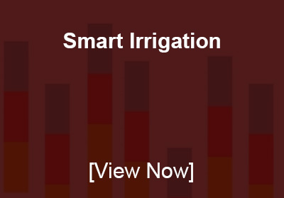 Smart Irrigation