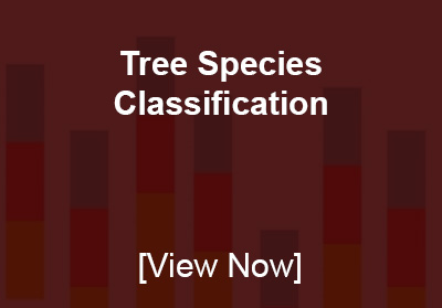 Tree Species Classification